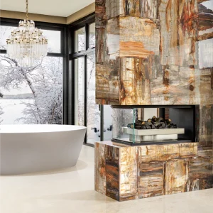 Retro Petrified Wood Black Precious Stone