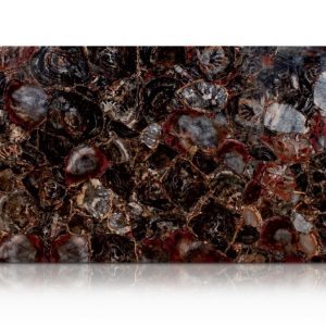 Round Petrified Wood Black Precious Stone