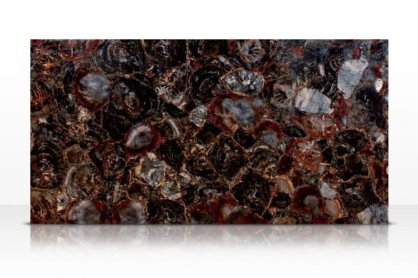 Round Petrified Wood Black Precious Stone
