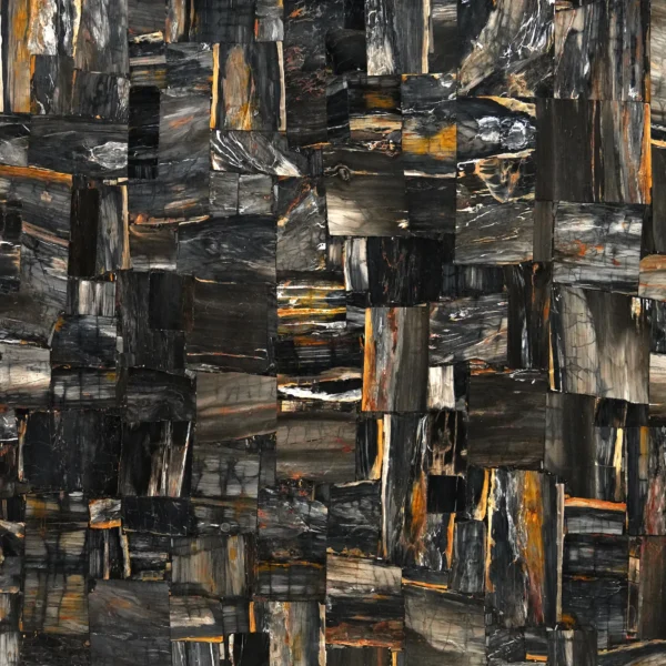 Petrified Wood Black stone