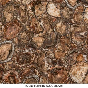 Round Petrified Wood Brown