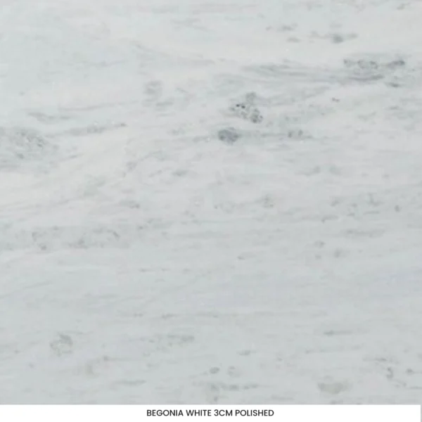 Begonia White Dolomite