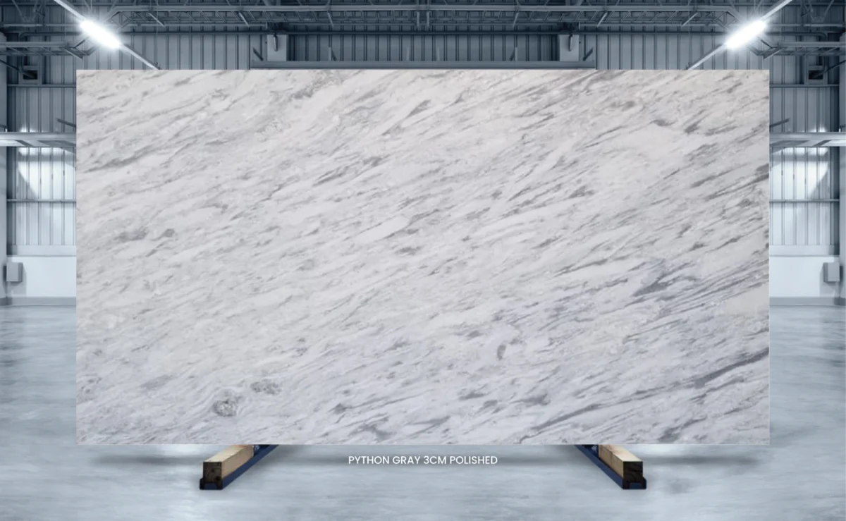 Elevated Elegance: Python Gray Polished Interiors - USA