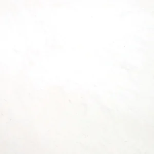 Bianco Dolomiti Extra Marble