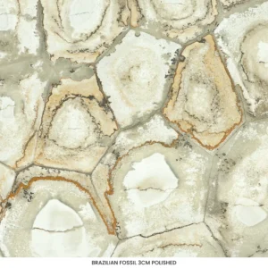 Brazilian Fossil quartzite