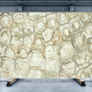 Brazilian Fossil quartzite slab