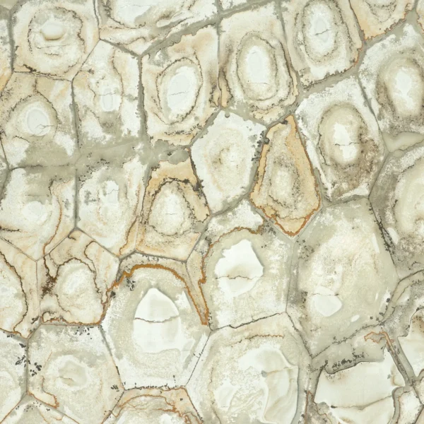 Brazilian Fossil quartzite