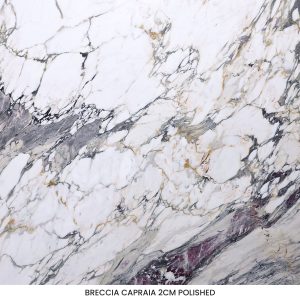 Breccia Capraia marble