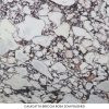 Calacatta Breccia Rosa marble