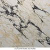 Calacatta Monet Marble