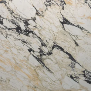 Calacatta Monet Marble