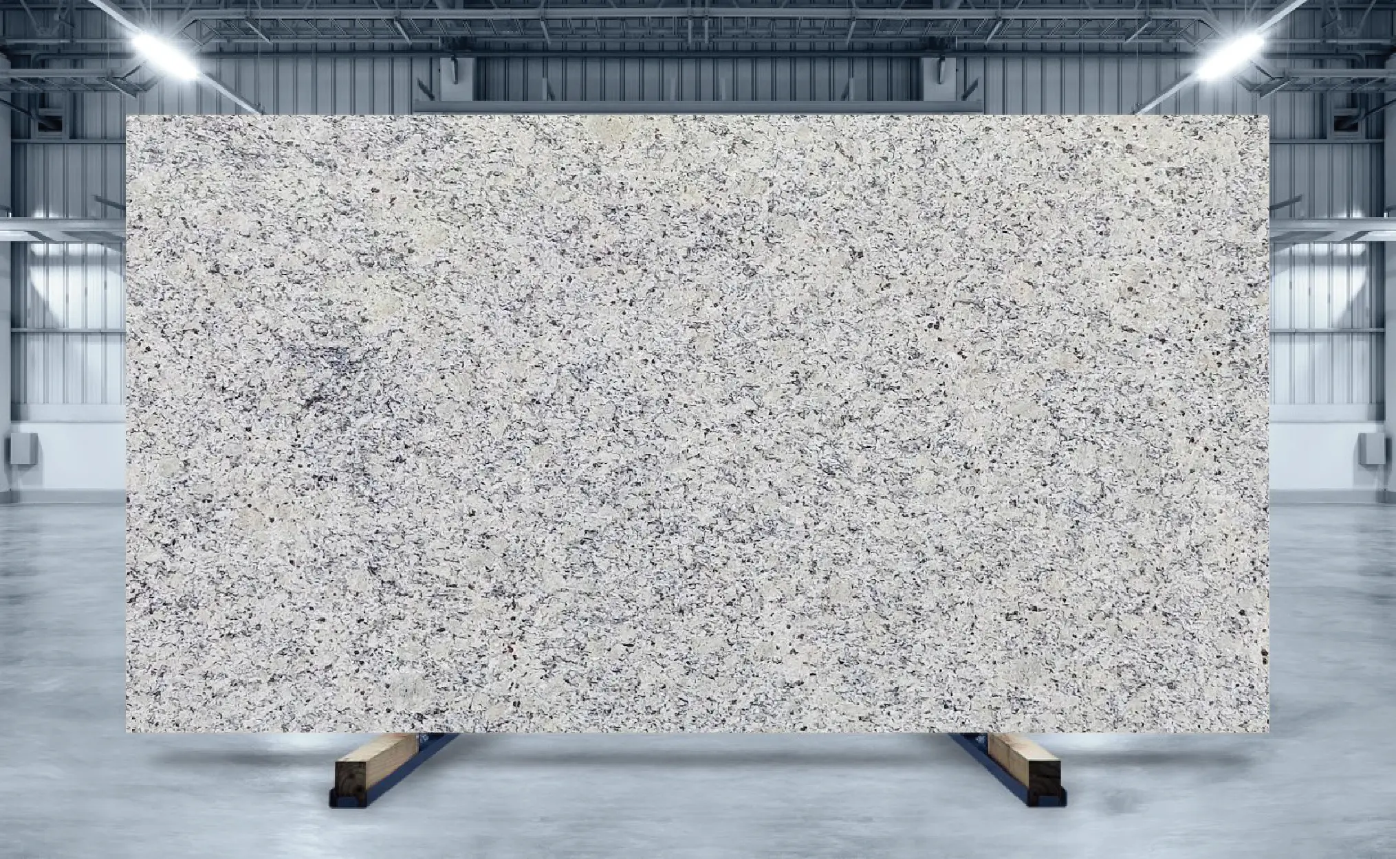 Santa Cecelia - Image 2