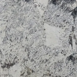 Starlight is a magnificent granite