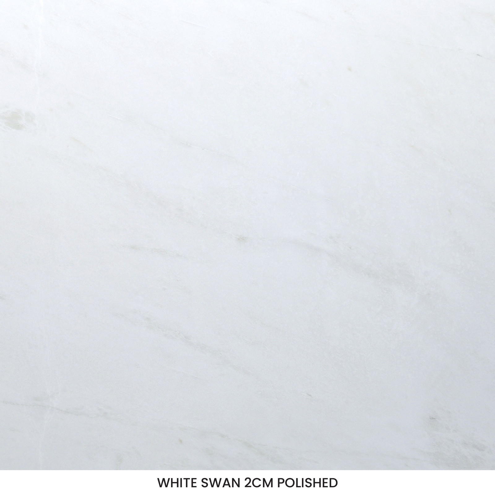 White Swan Marble