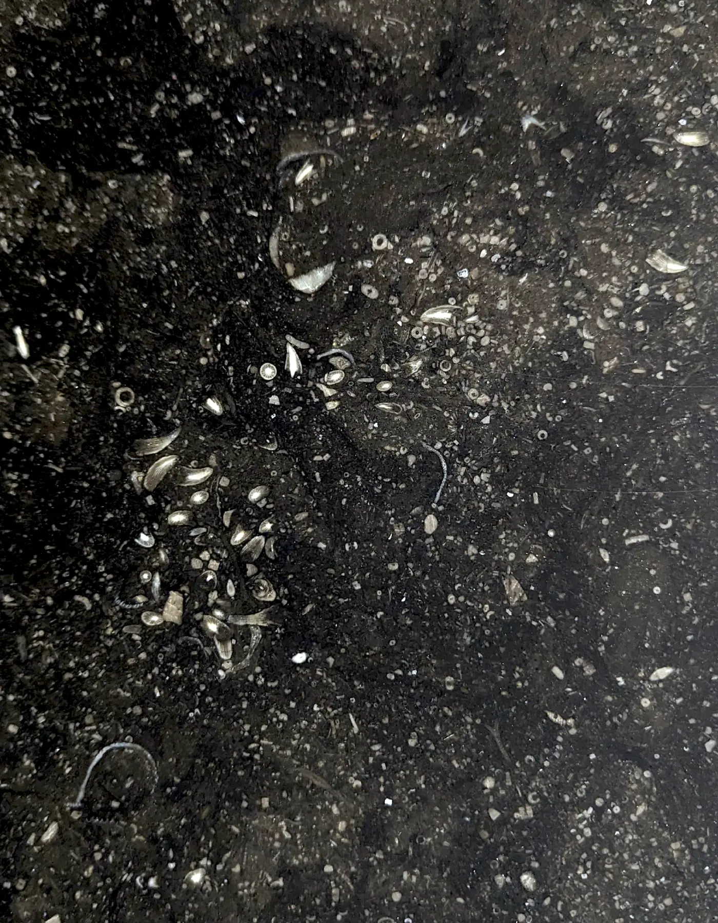 LIMESTONE PETIT GRANIT