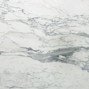Arabescato Corchia Marble