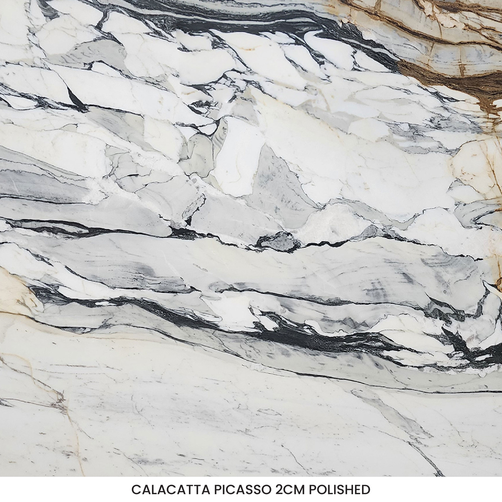 Calacatta Picasso Marble