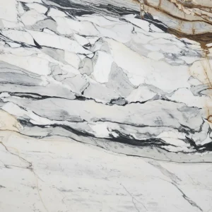 Calacatta Picasso Marble