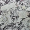 Calacatta Viola Marble