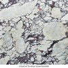 Calacatta Viola Marble