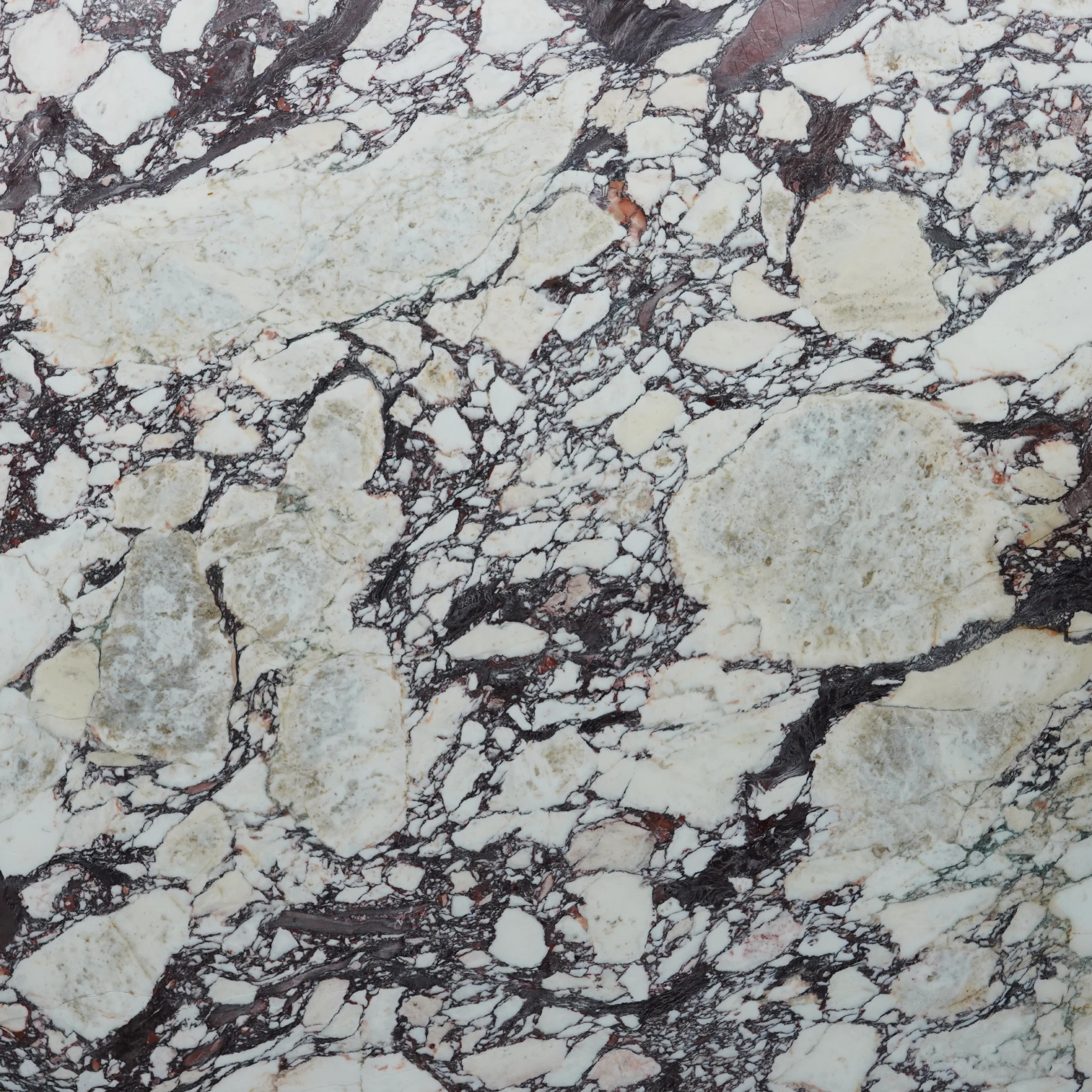 Calacatta Viola Marble