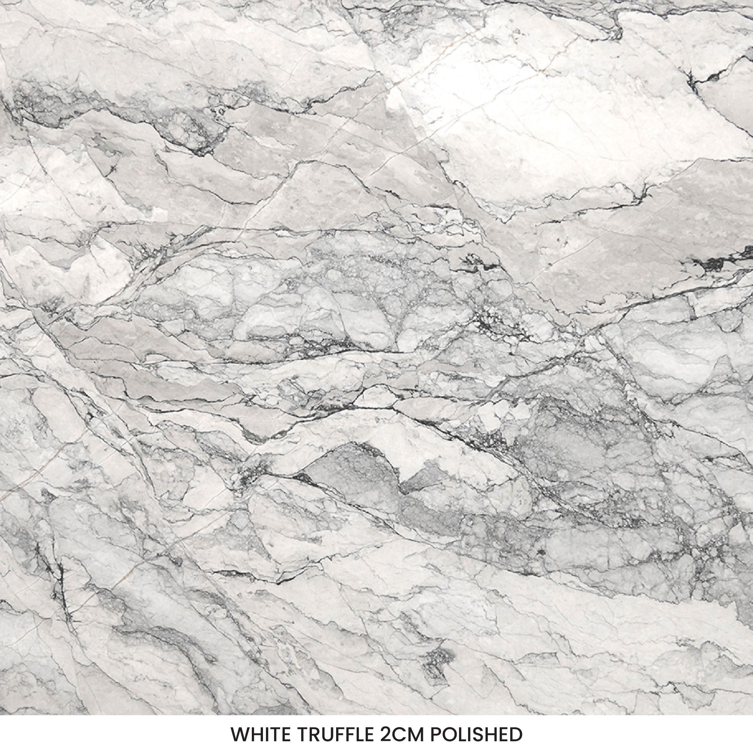 White Truffle Marble