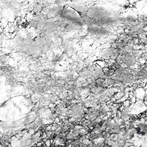 Calacatta super white 3cm honed