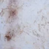 Cristallo Oro quartzite