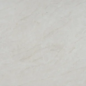 Taj Mahal 3D full-body quartz