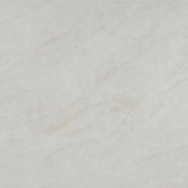 Taj Mahal 3D full-body quartz