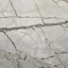 Silver Roots Marble